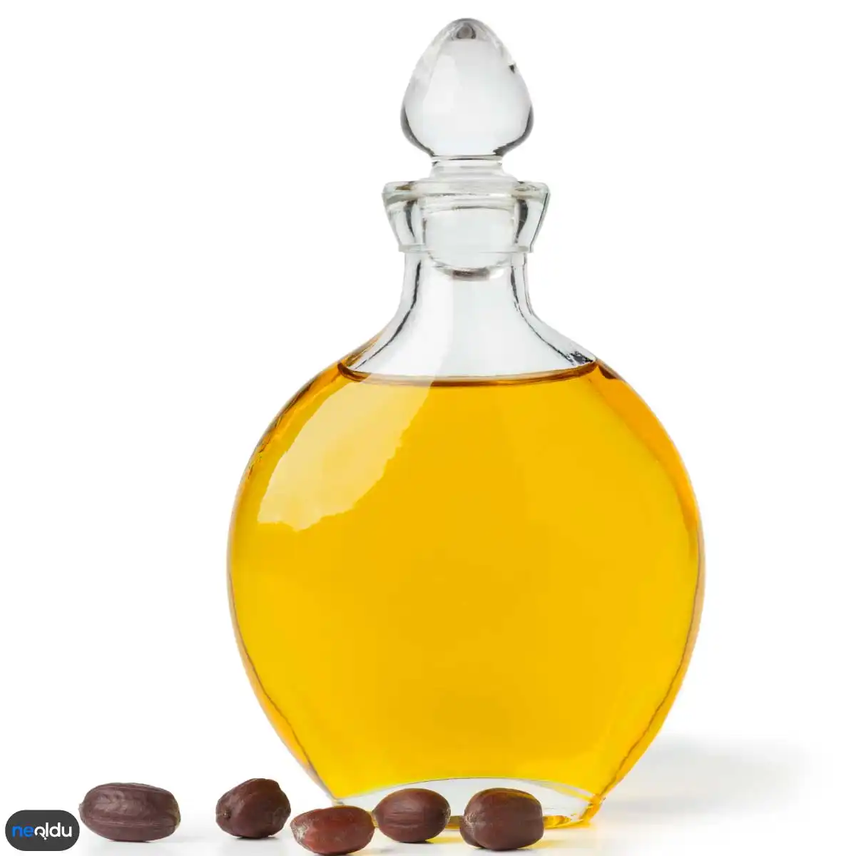 Jojoba Yağı Saç Derisi Bakımı