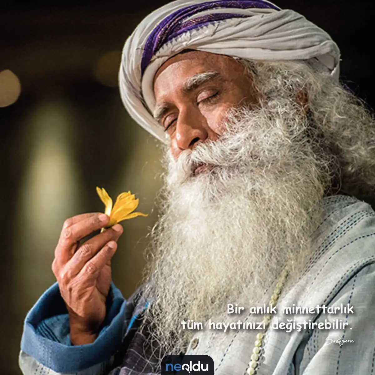 Sadhguru Sözleri 4