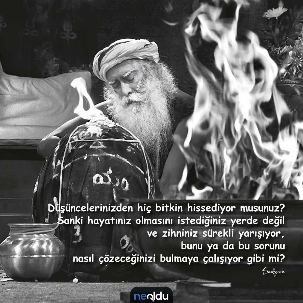 Sadhguru Sözleri 5