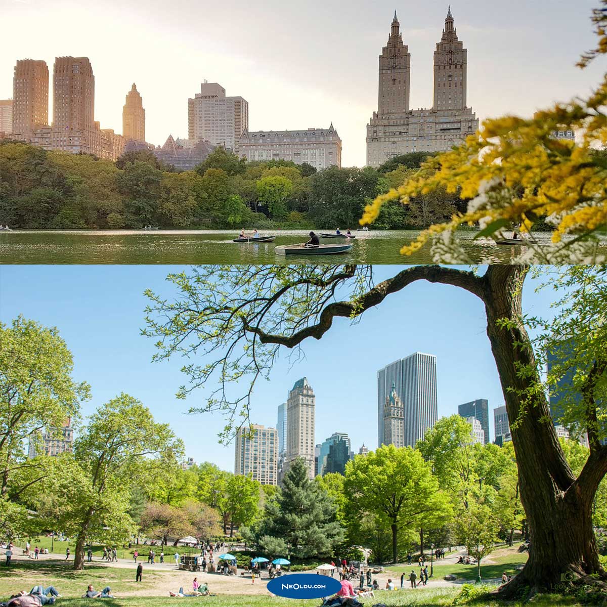 Central Park, New York-ABD Sanal Tur Yapabileceğiniz Müzeler ve Milli Parklar