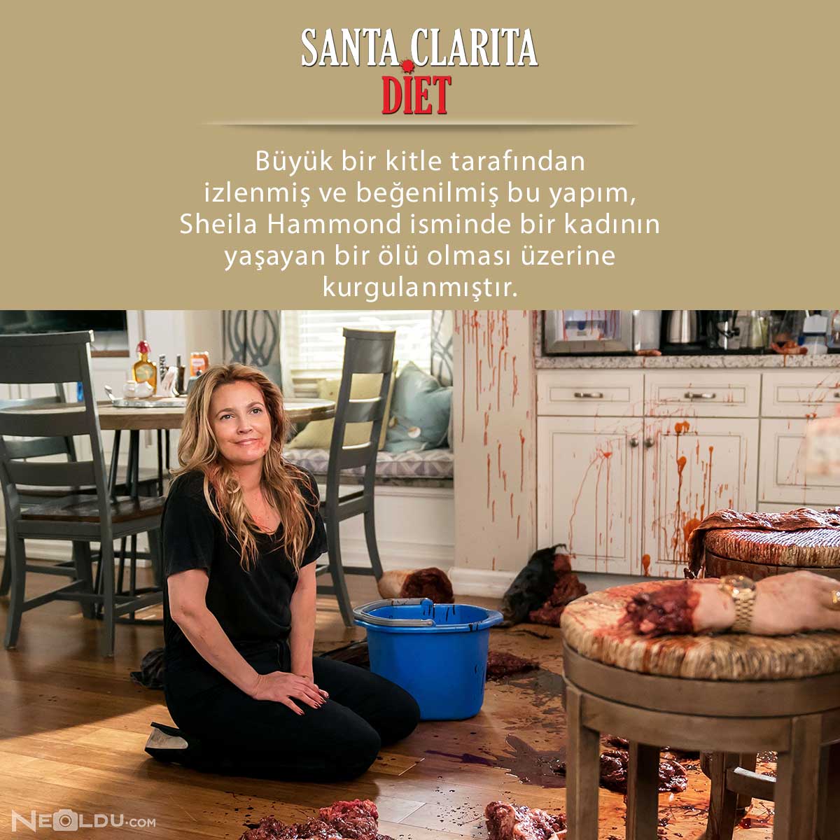 santa-clarita-diet-netflix.jpg