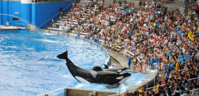 seaworld-orlando.jpg