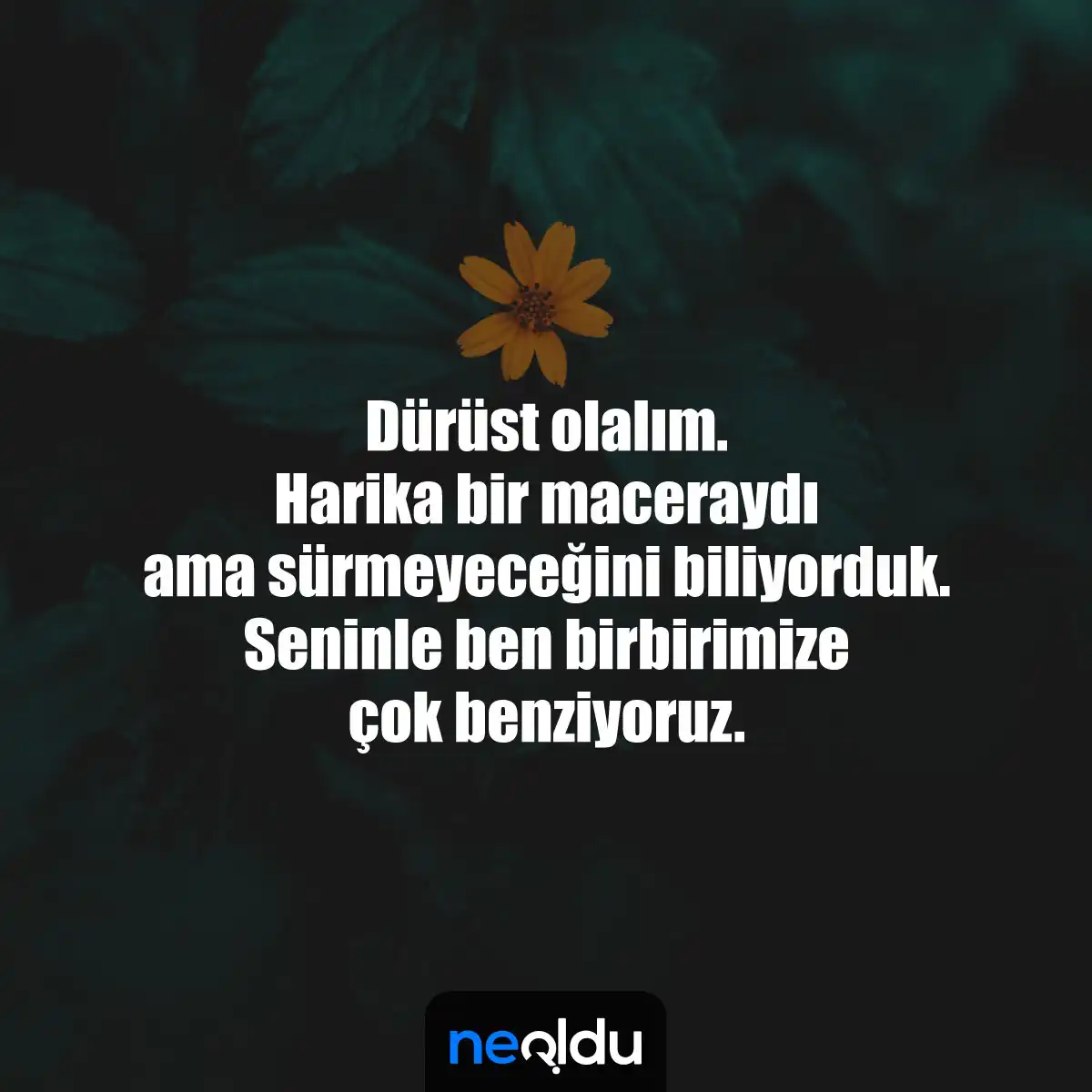 Sensizlik Sözleri 1