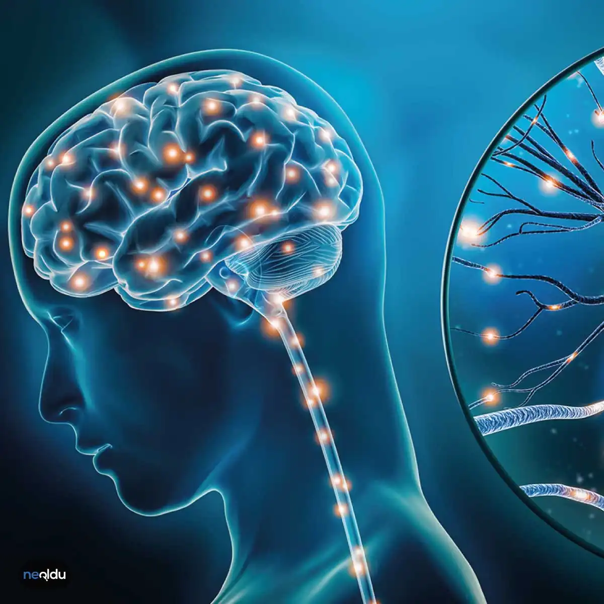 Serotonin Sendromu hakkında detaylı bilgi