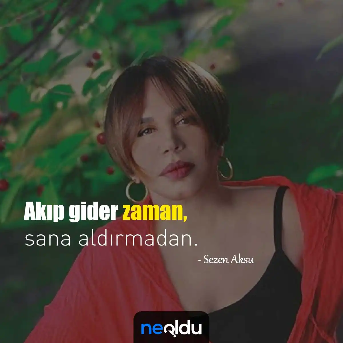 Sezen Aksu Sözleri