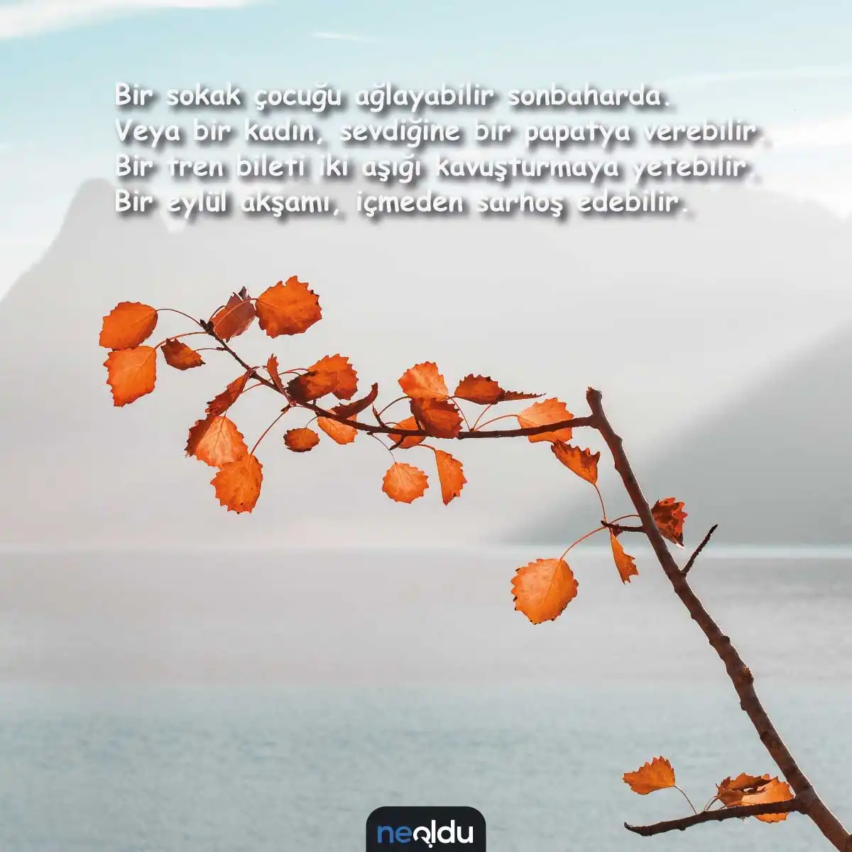 Sokak çocuğu sözlerinin sitemli dokunuşu Kimseye anlatamadıkları, sokaklara sığındıkları masum yürekler