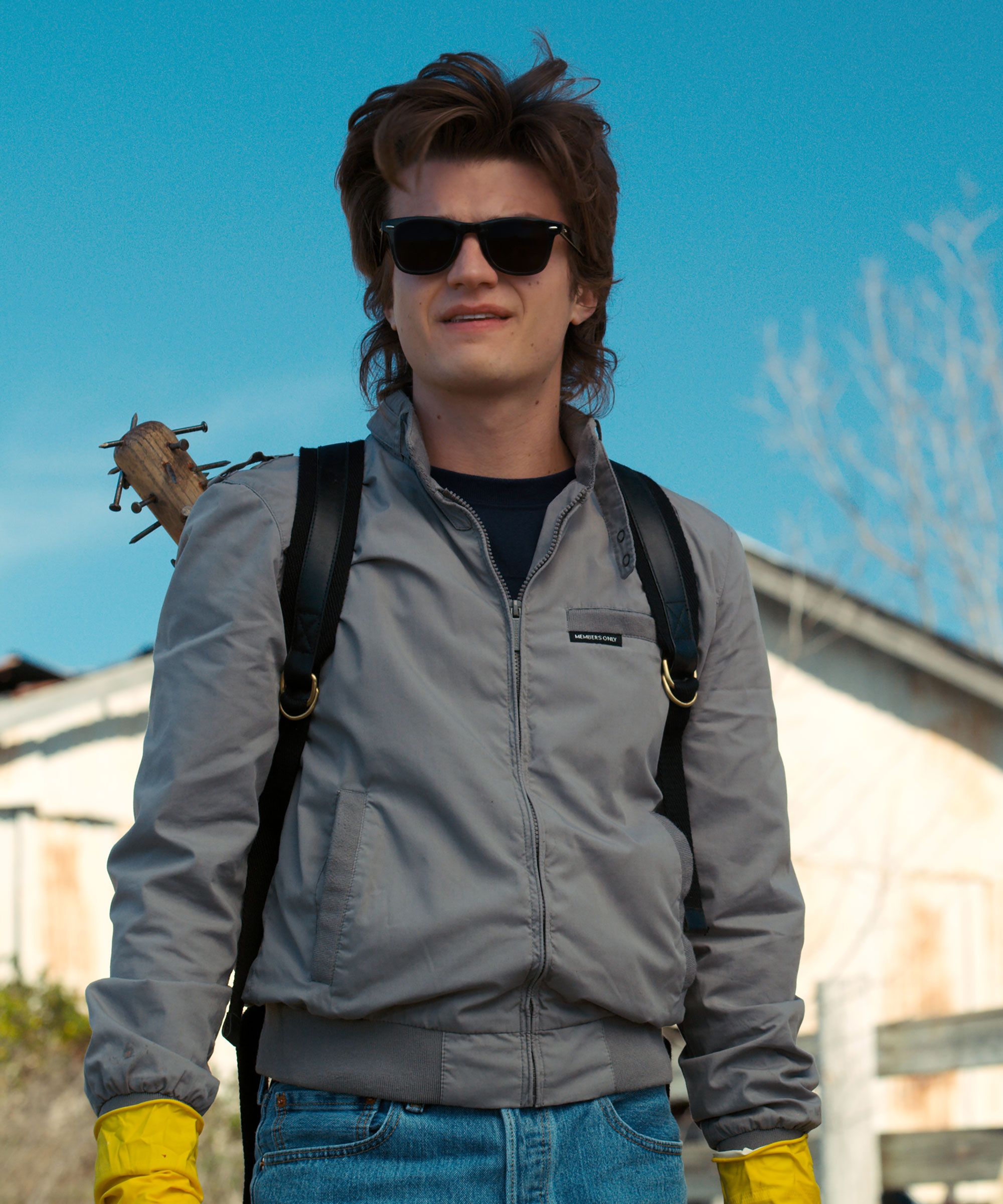 steve-harrington.jpg