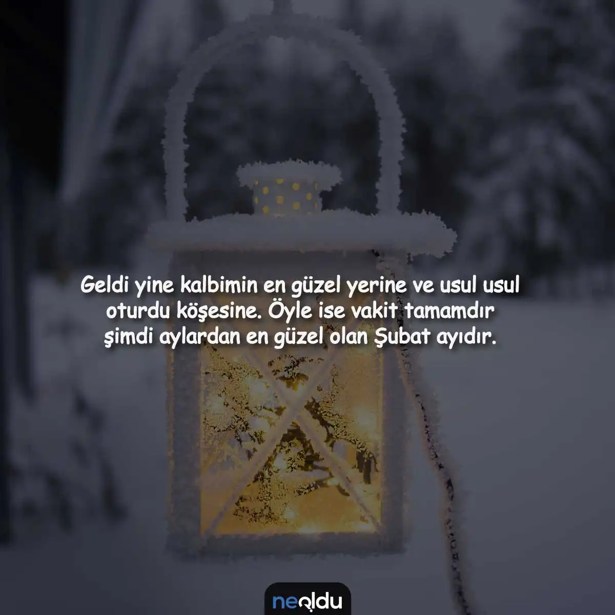 Şubat Mevsimi Görseli