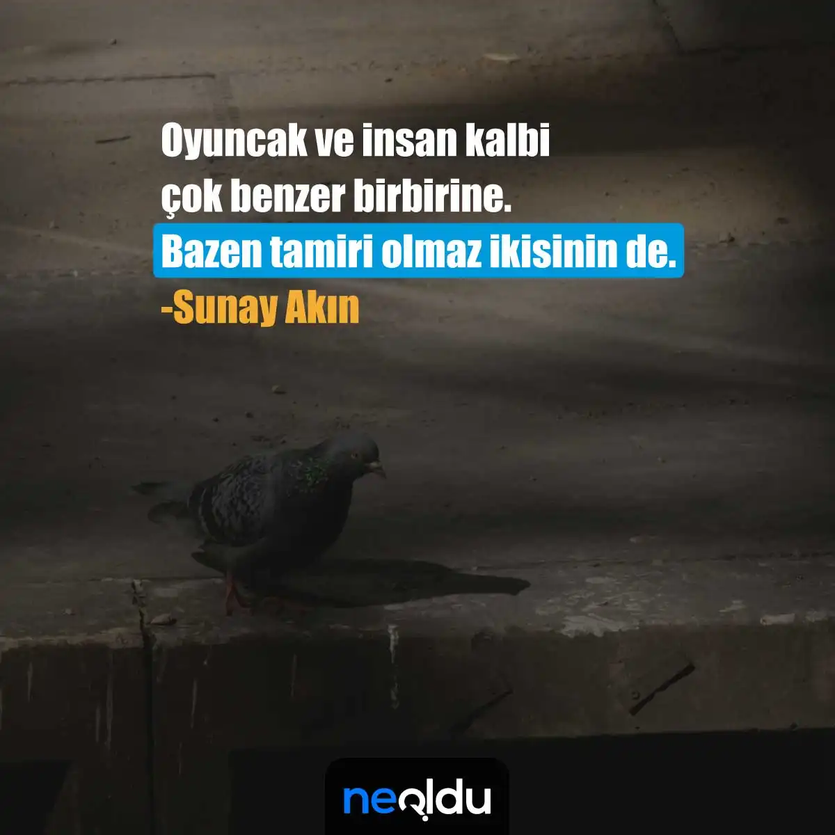 Sunay Akın Sözleri