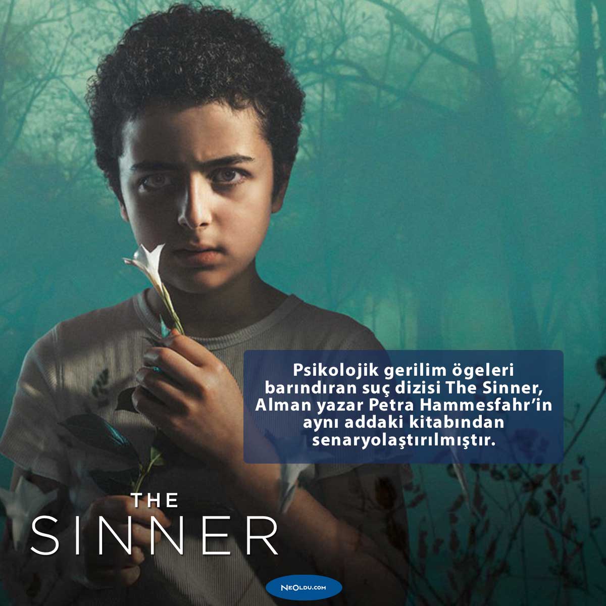 the-sinner-dizisi-hakkinda.jpg