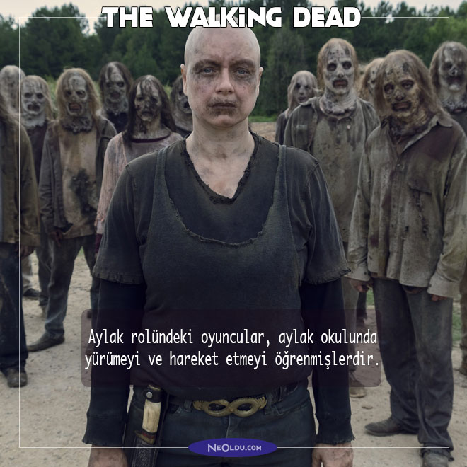 The Walking Dead Hakkında Bilgi