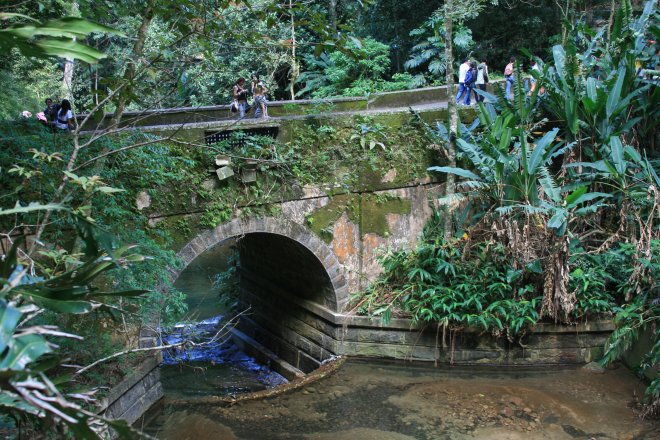 tijuca-ormani.jpg