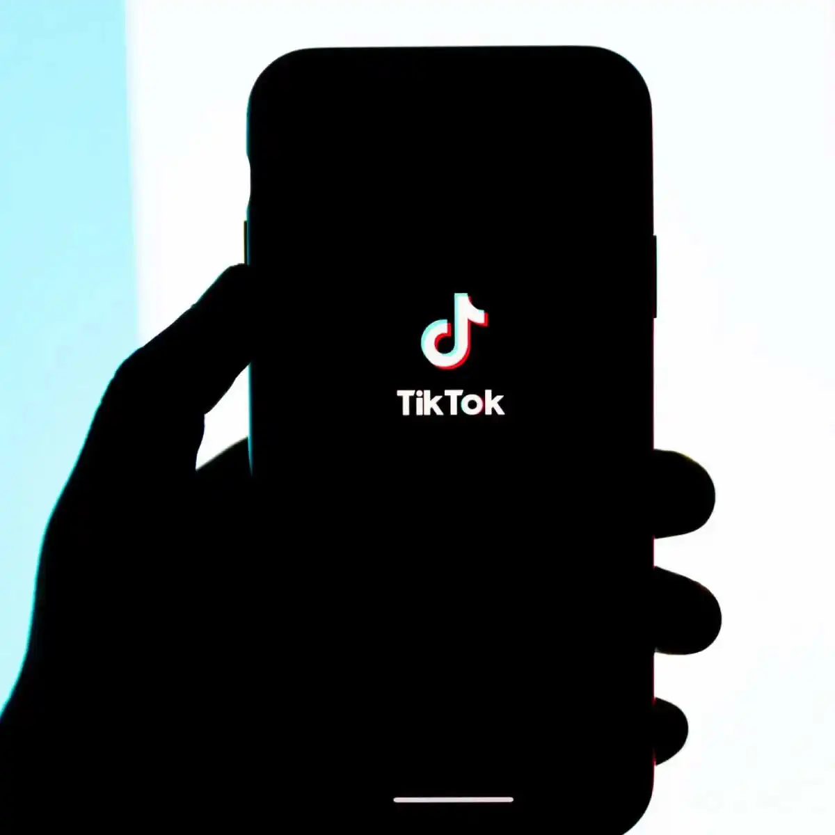 Tiktok Düet