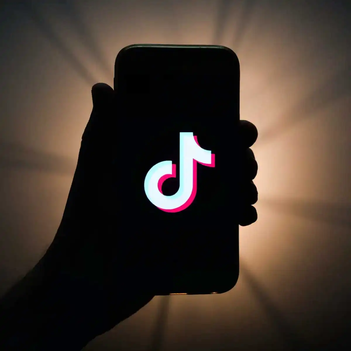 TikTok Topluluk Kuralları