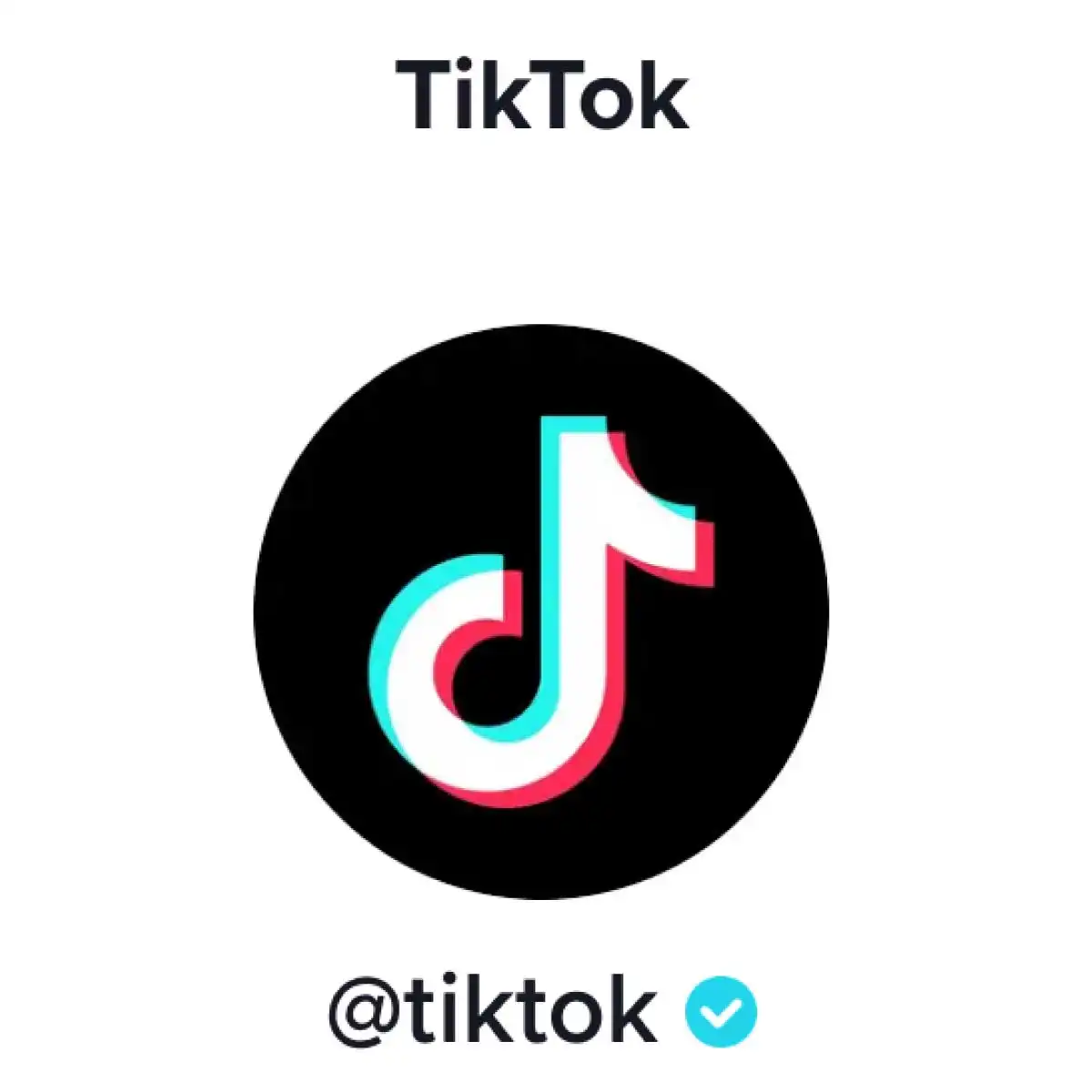 TikTok Topluluk Kuralları