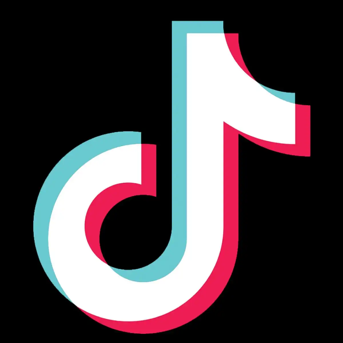 Tiktok Video İndirme