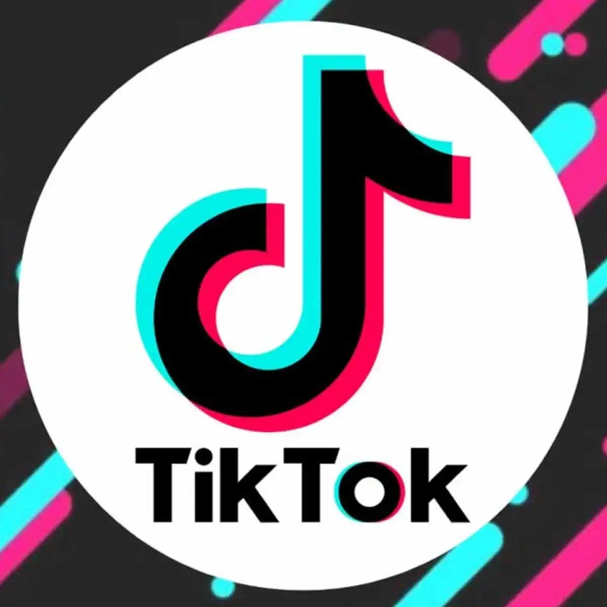 Tiktok Video İndirme