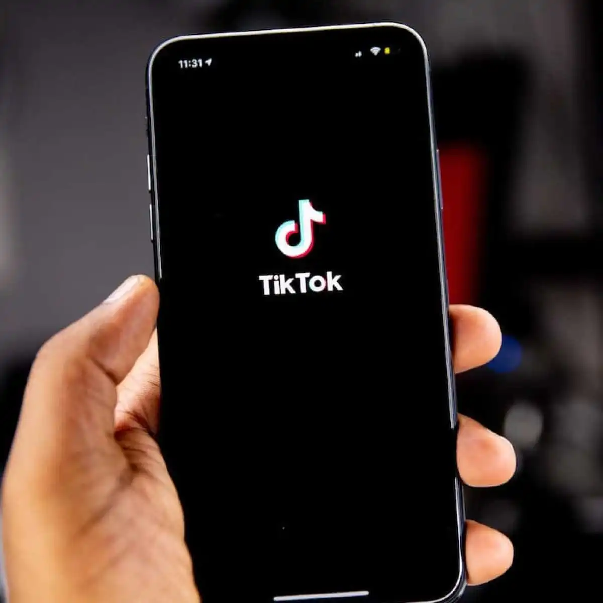 Tiktok Video İndirme