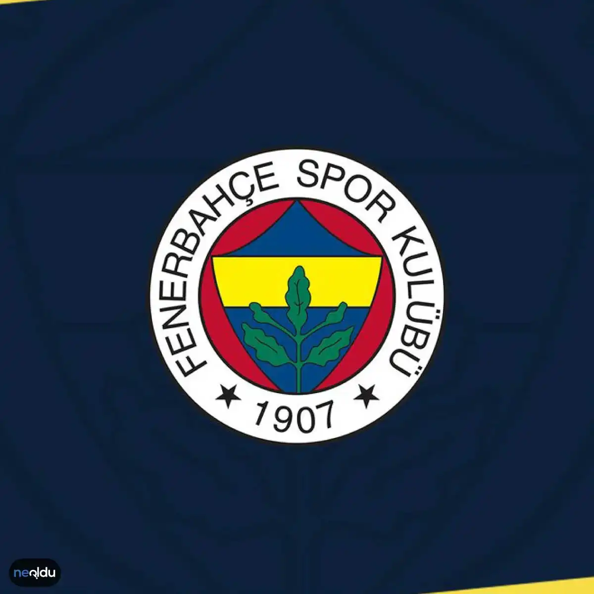 Fenerbahçe Spor Kulübü