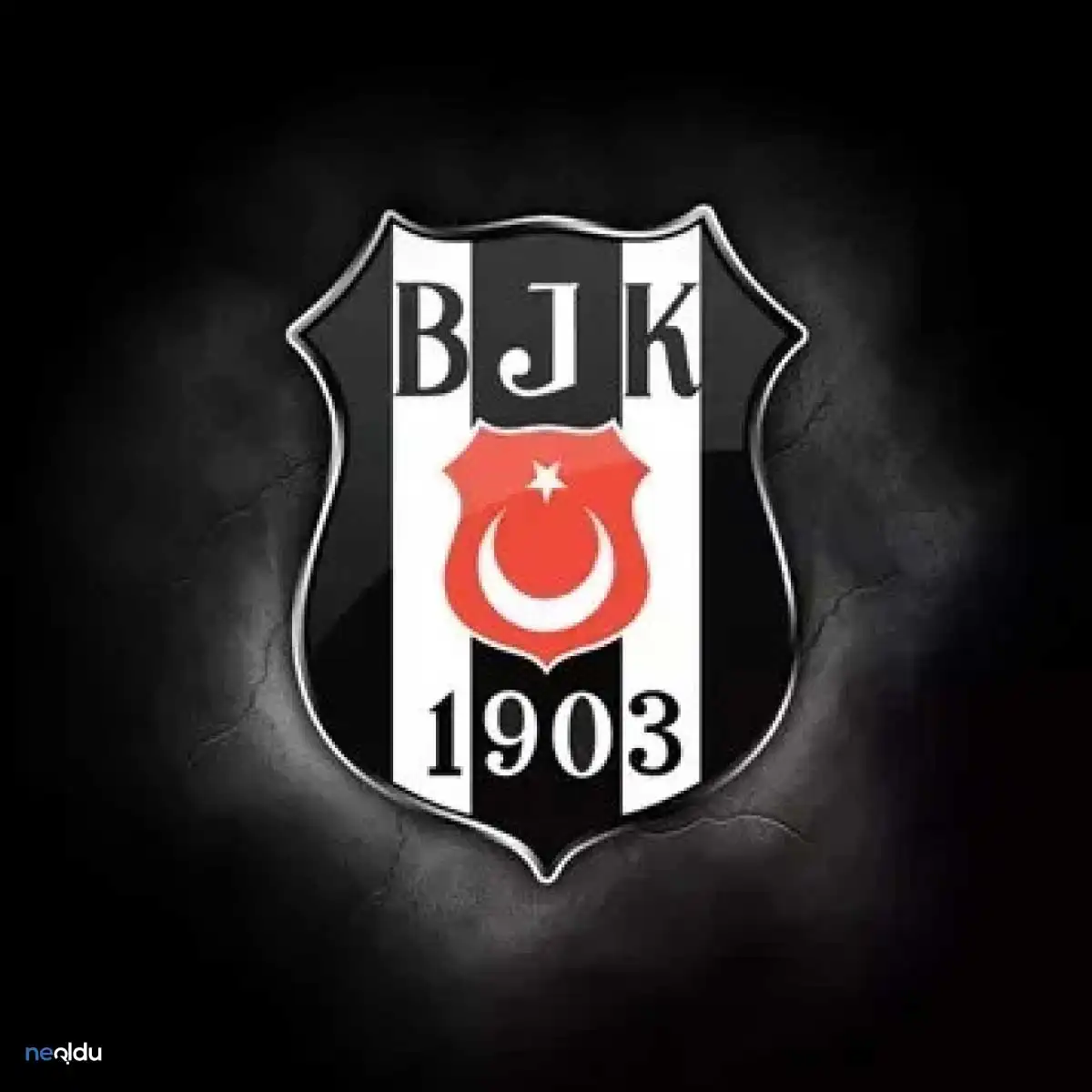 Beşiktaş Jimnastik Kulübü