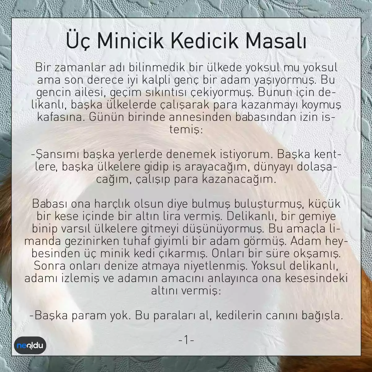 Üç Minicik Kedicik Masalı