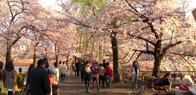 ueno-park.jpg