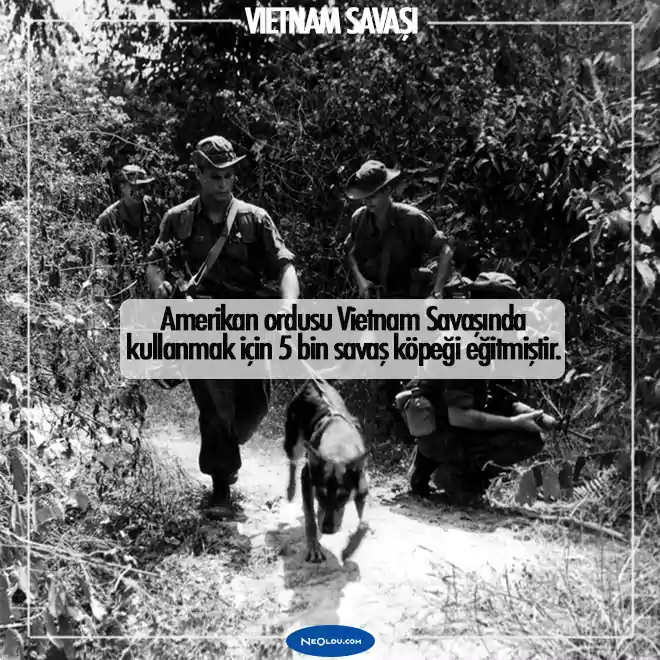 Vietnam Savaşı Hakkında Bilgiler