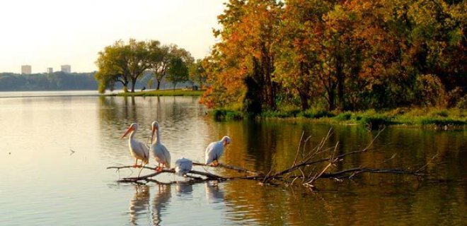 white-rock-lake.jpg