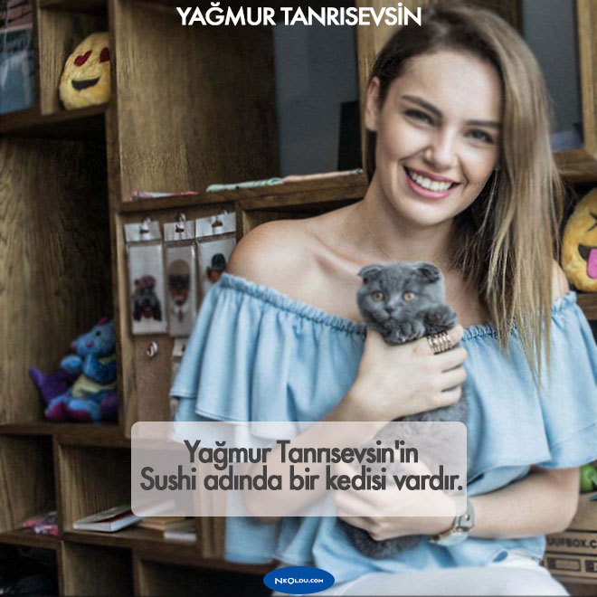 Yağmur Tanrısevsin