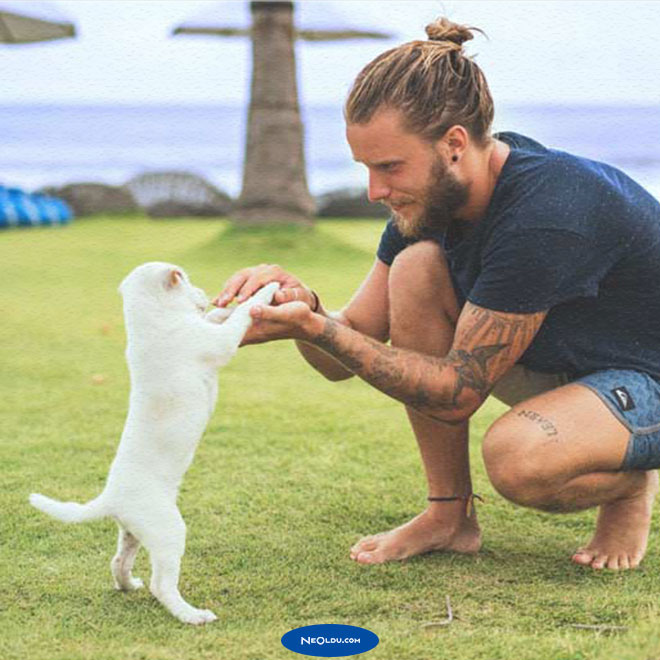 Yavru Köpek Eğitimi