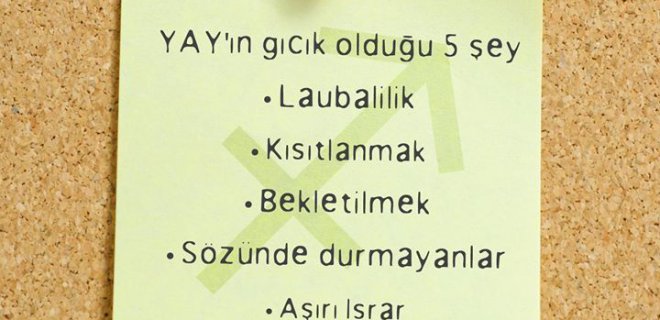 yayburcu7.jpg