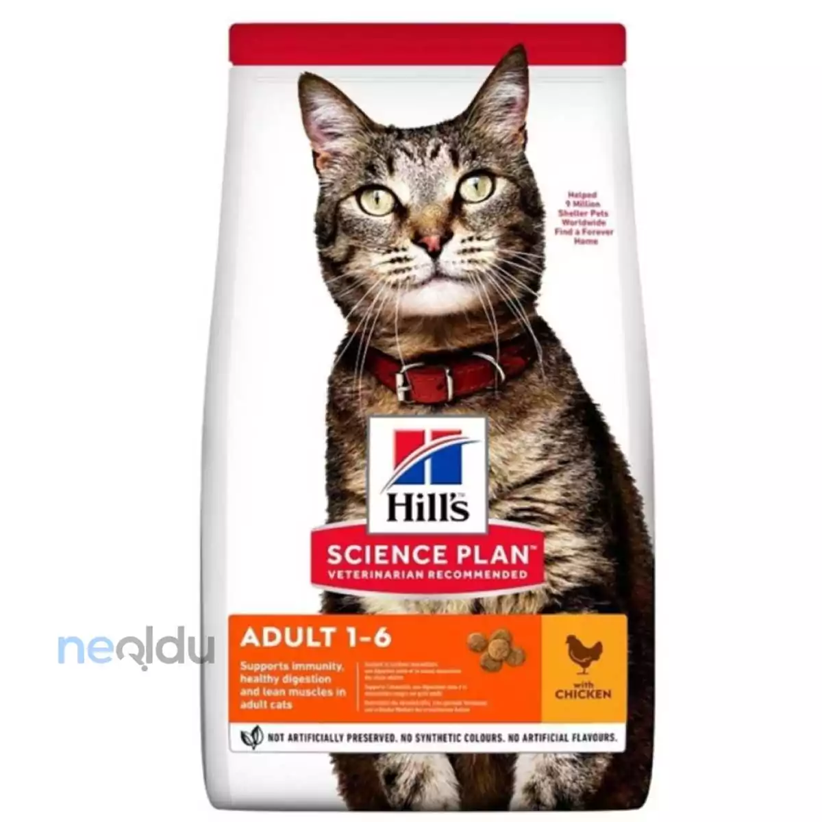 Hill's Yetişkin Kedi Maması