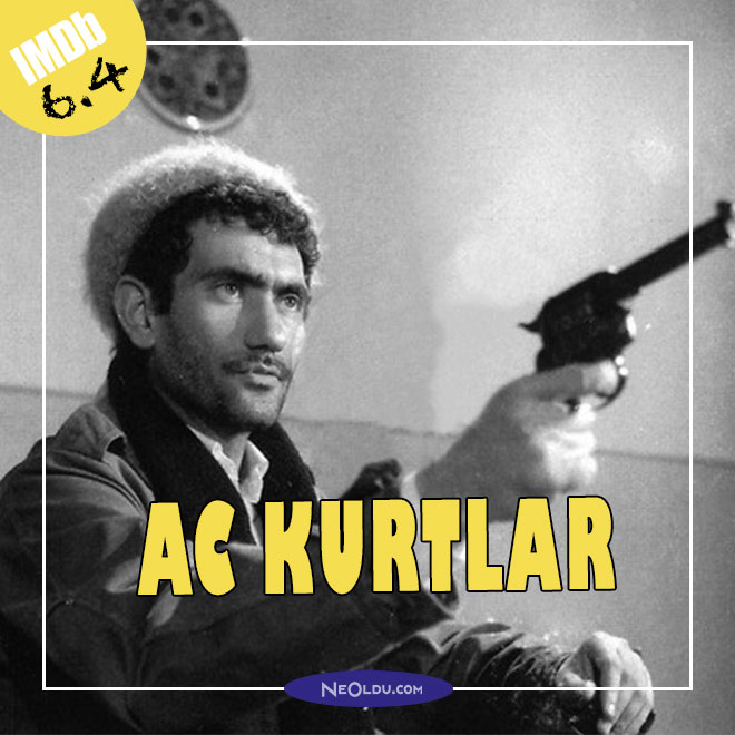 Aç Kurtlar Filmi. Bir öğretmenin eşkıyalarla mücadelesini anlatan Yılmaz Güney yapımı