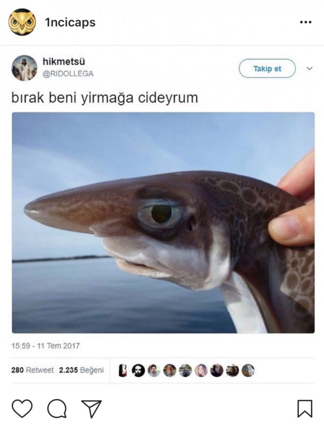 yirmağa cideyrum