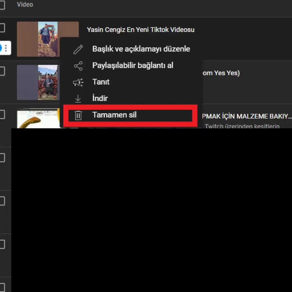 Youtube Video Silme